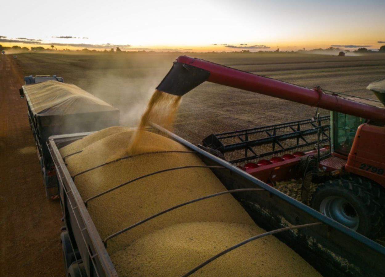 Goiás mantém alta produtividade e supera 12 milhões de toneladas embarcadas em 2025