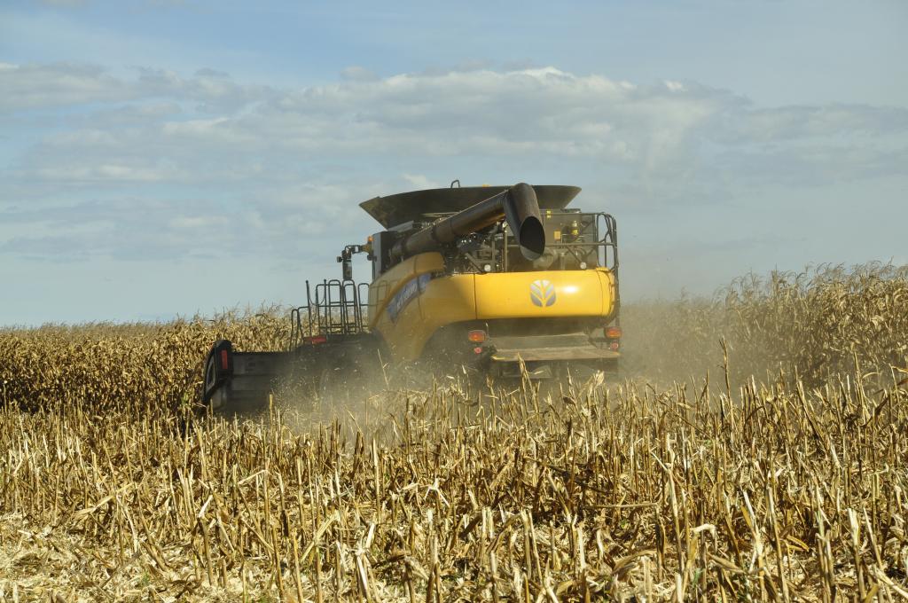 Embrapa disponibiliza dados agropecuários de Rondônia