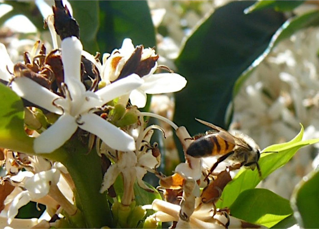 Foto:&nbsp;John E Banks