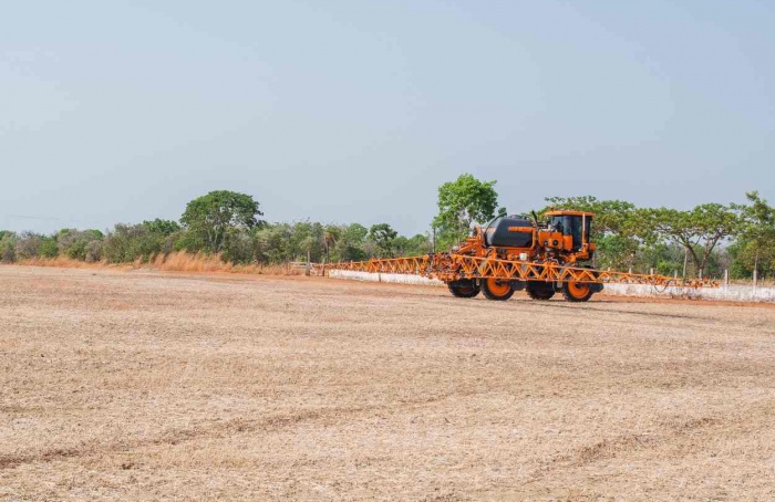 Vazio sanitário da soja começa em 1º de julho no Tocantins