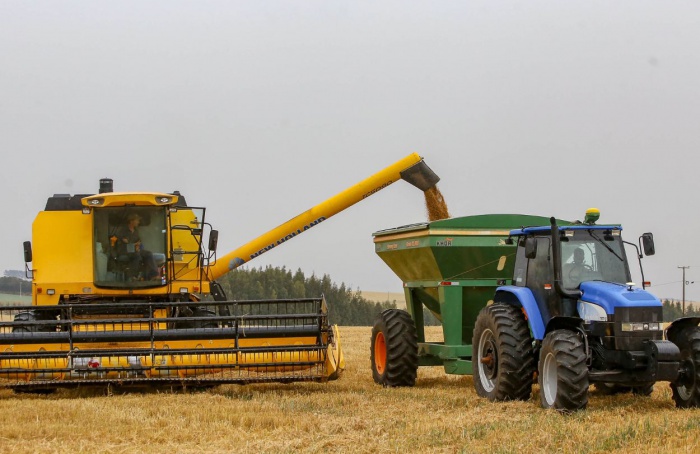 PR Safra 2025/26: colheita do trigo avança e confirma recorde