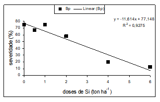 Figura 5: Severidade de brusone nas panículas em função de doses crescentes de termofosfato de cálcio e magnésio na cultura do arroz irrigado