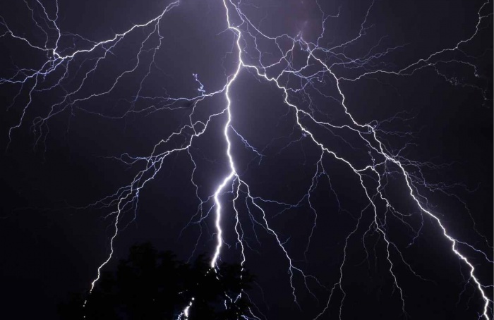 Mudança climática ameaça serviços prestados por insetos benéficos