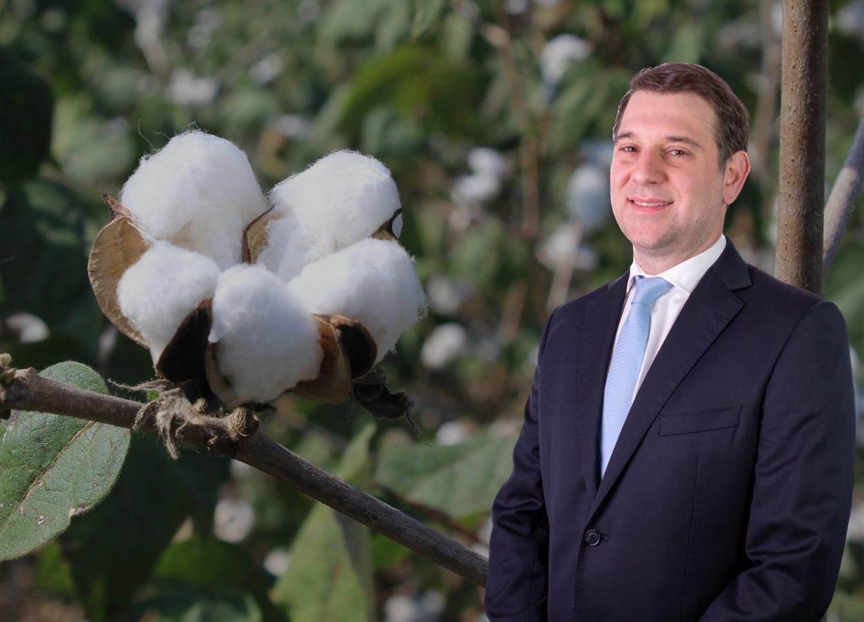 Exportações de algodão devem registrar bom desempenho em 2026