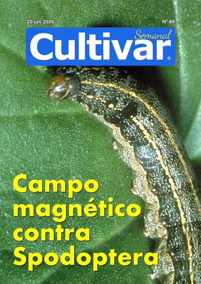 Cultivar Semanal 84