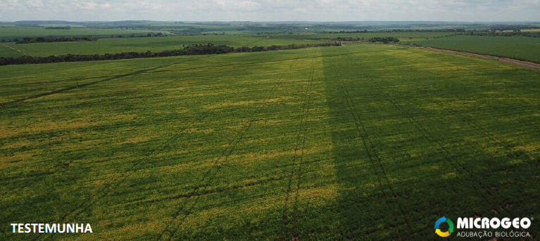 Estudo aponta potencial de redução no consumo de água na agricultura