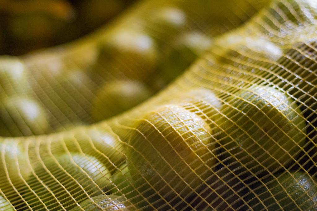 Levantamento do IAC mostra que micronutrientes balanceados beneficiam a produtividade e a qualidade dos citros