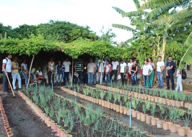 Projeto promove ações de estímulo à produção e ao consumo de hortaliças no PI