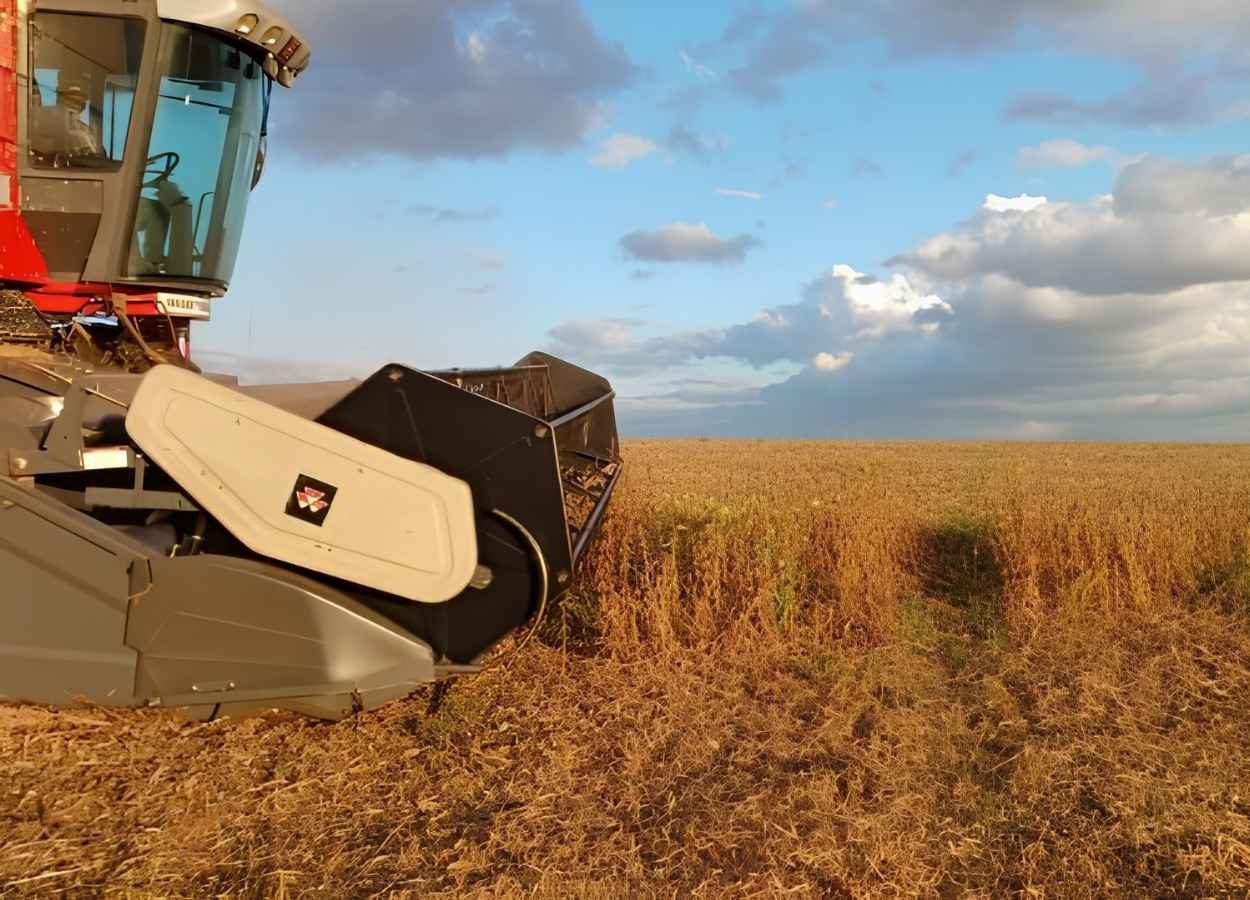 RS Safra 2025/26: produção de soja cresce 32,9%