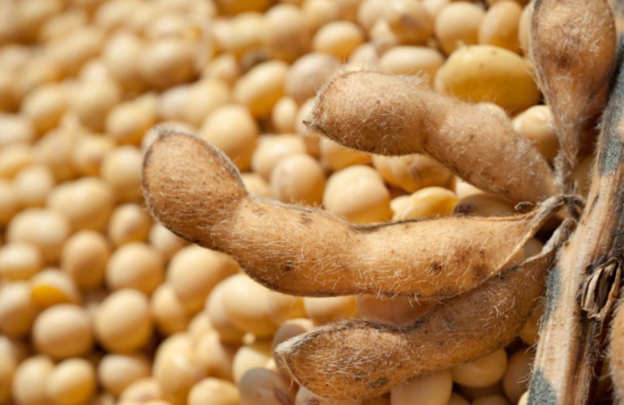 Exportações do agronegócio somam US$ 15,49 bi em outubro