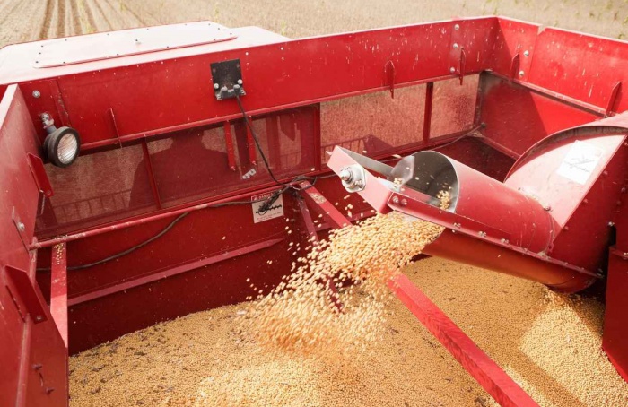 Soja perde ritmo de exportação em abril em Mato Grosso