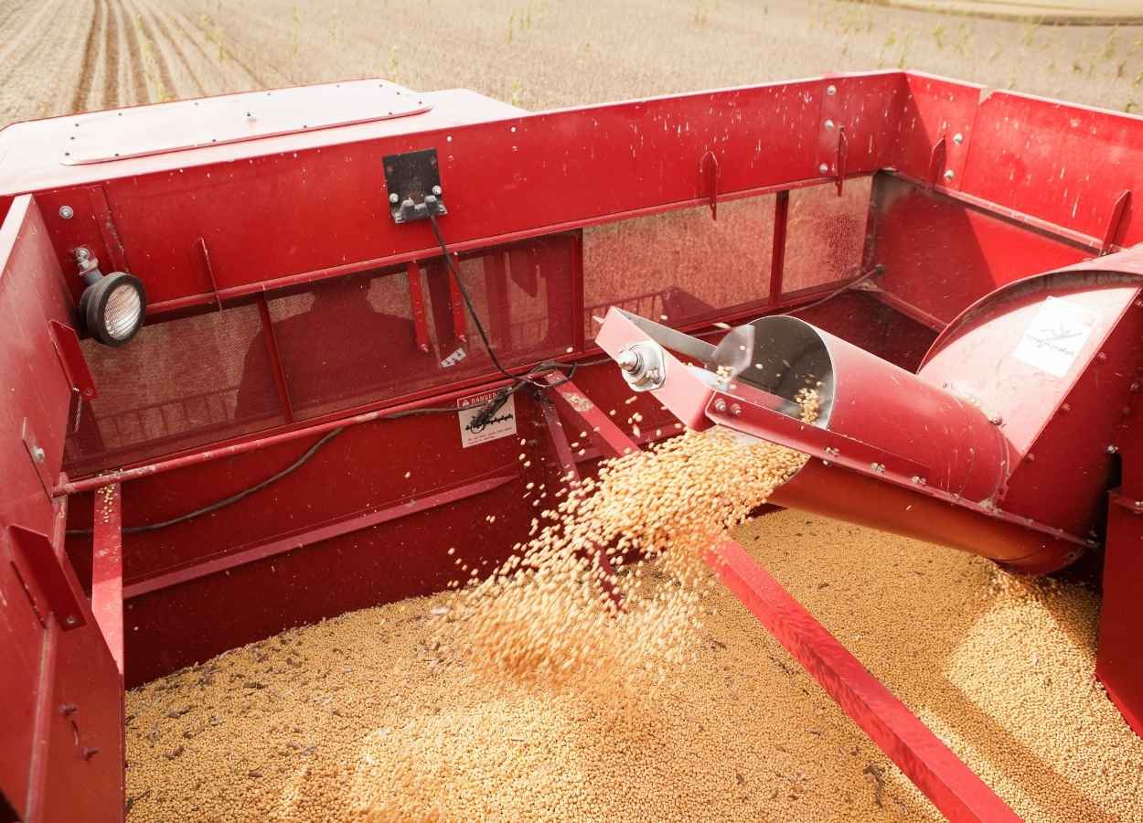 Soja perde ritmo de exportação em abril em Mato Grosso