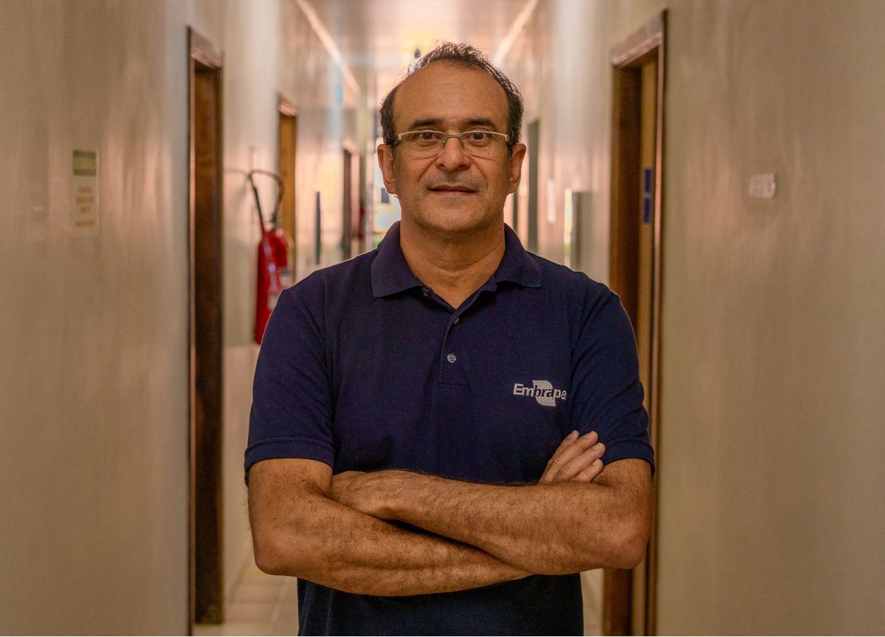 CBSoja e Mercosoja reúnem cadeia da soja em julho