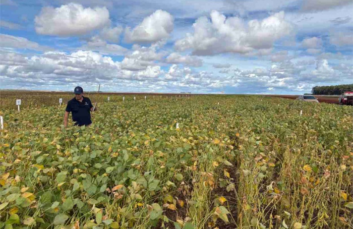 Micropep pede registro de biofungicida peptídico no Brasil