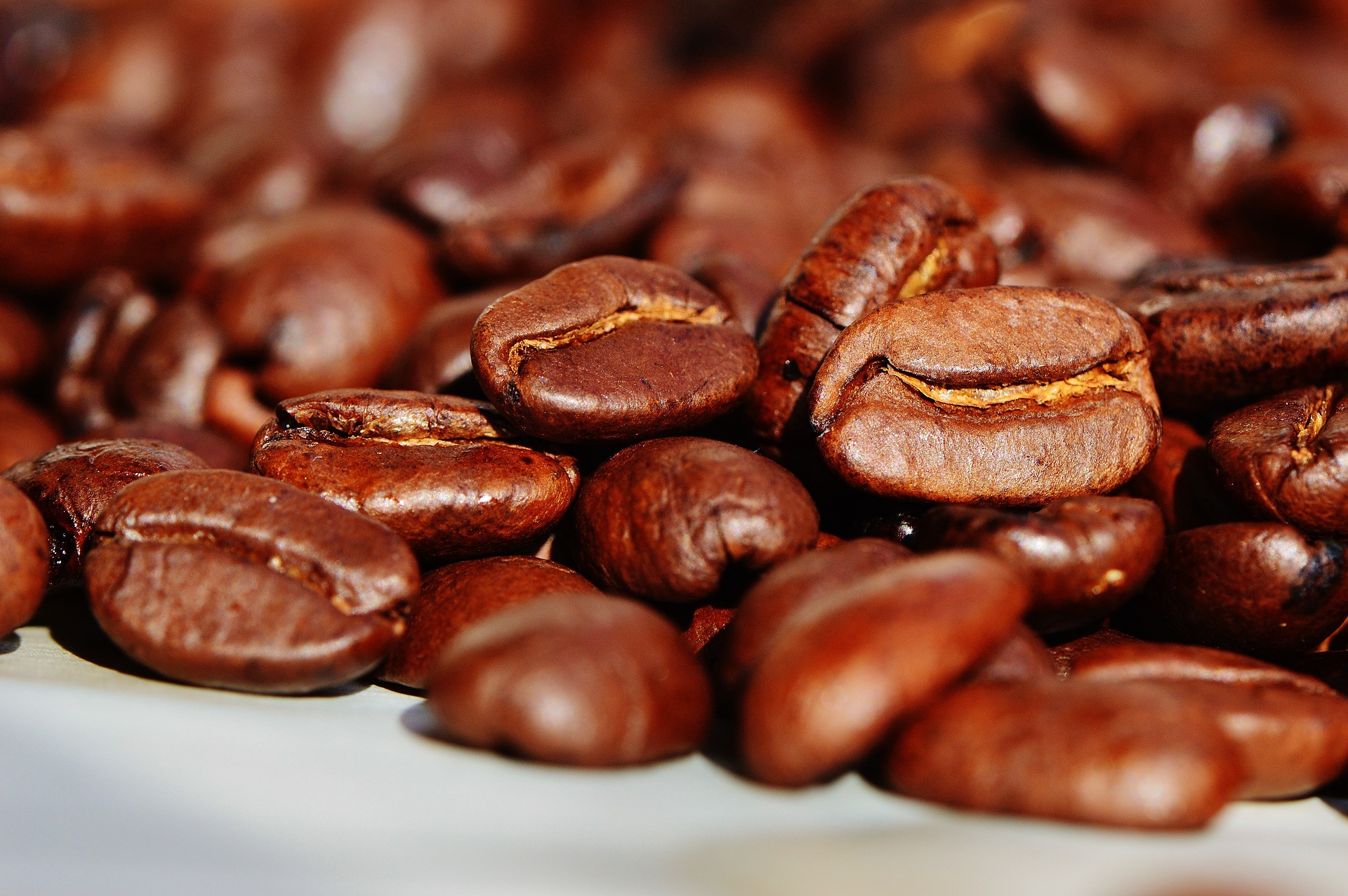 Exportação de café em nível mundial totaliza 72,19 milhões de sacas no acumulado de sete meses