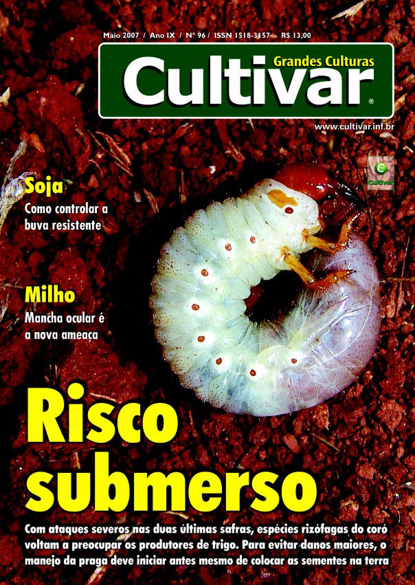 Risco submerso