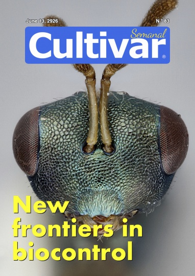 Cultivar Semanal 83