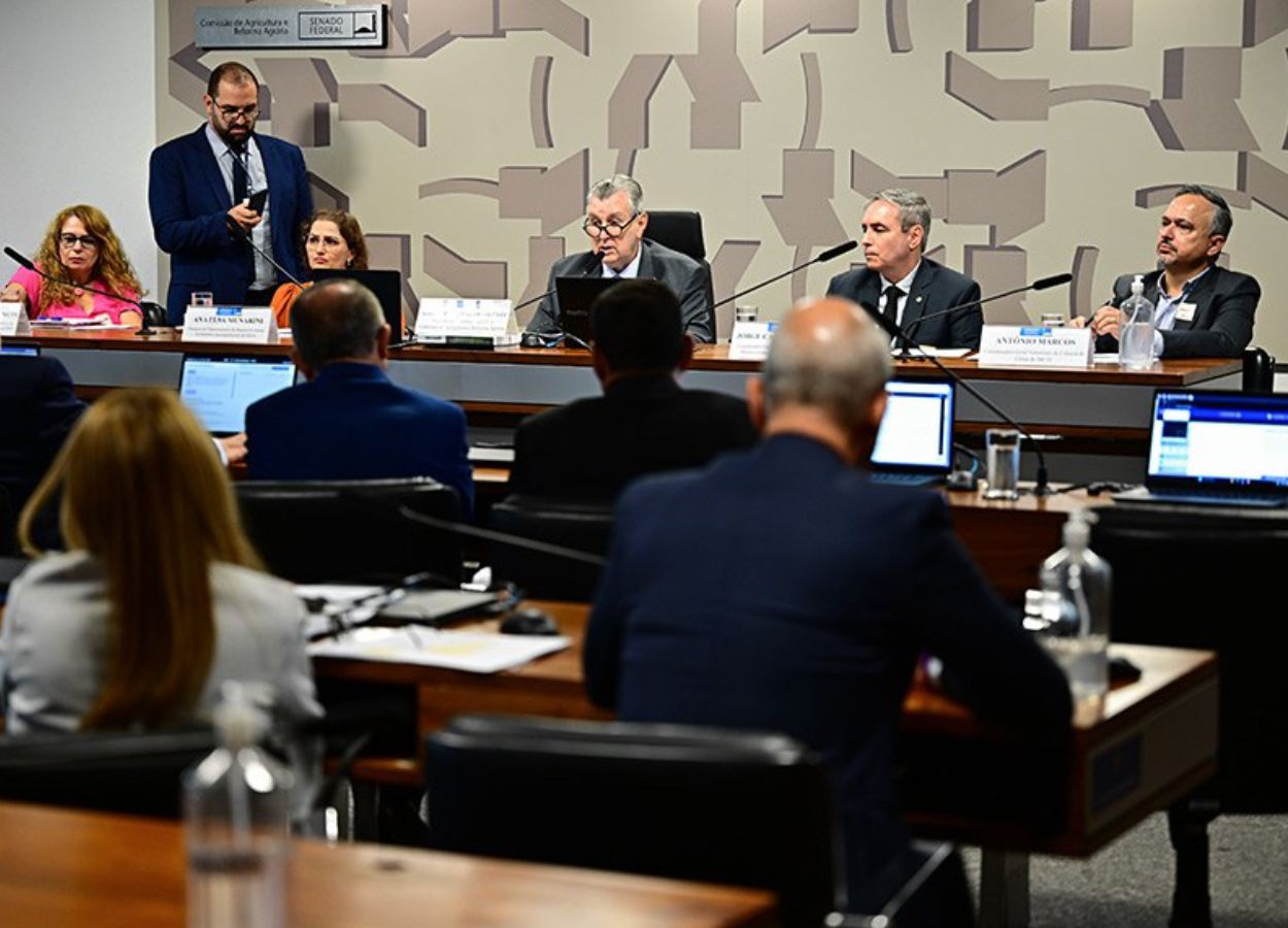 Senado cobra agilidade na regulamentação do mercado de carbono