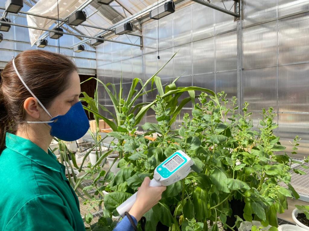 Centro de Pesquisa em Genômica para Mudanças Climáticas oferece curso sobre biotecnologia agrícola