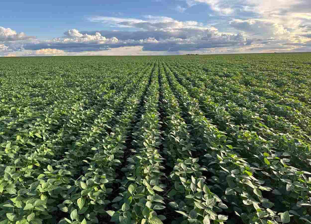 PI AgSciences leva soluções para a Coplacampo 2026