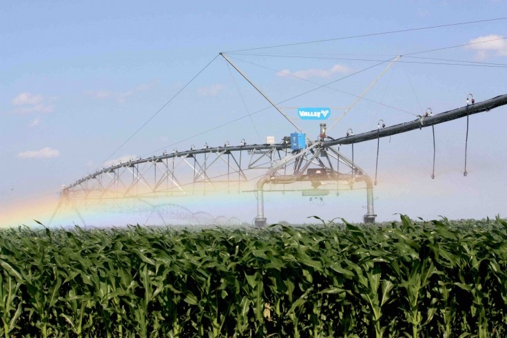 Barragens transformam Cristalina em exemplo sustentável do uso da irrigação agrícola