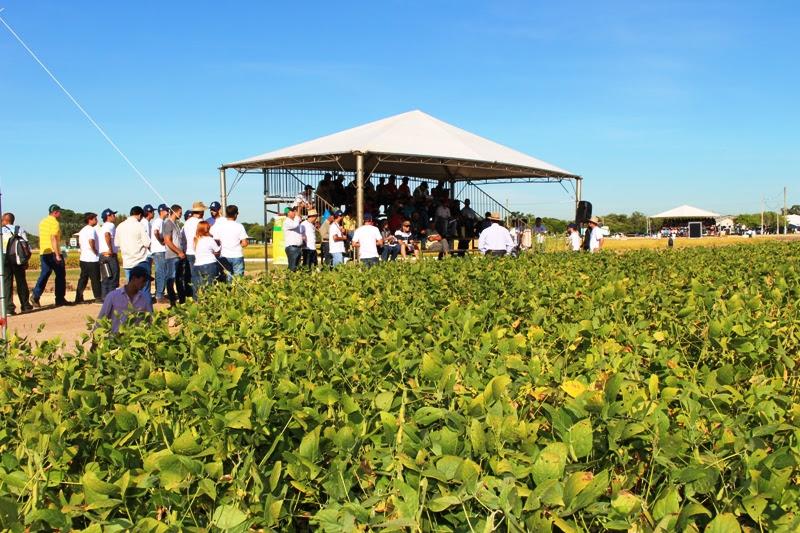 Dia de Campo Estadual do Irga recebe mais de 1,5 mil pessoas em Cachoeirinha, RS