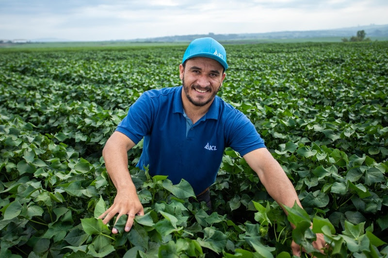 Supera Nutritional Program and club aimed at cotton farmers are highlights of ICL at the 13th Brazilian Cotton Congress