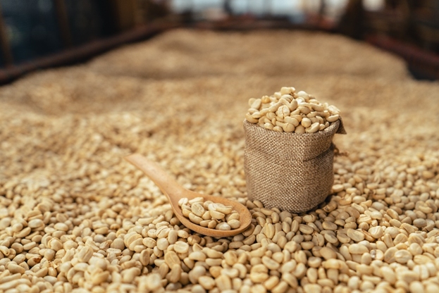 Cooperativa do Cerrado Mineiro bate recorde de exportação de café