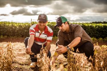 Especial Expodireto: Tecnologia e alta produtividade no campo são os destaques da Bayer na feira