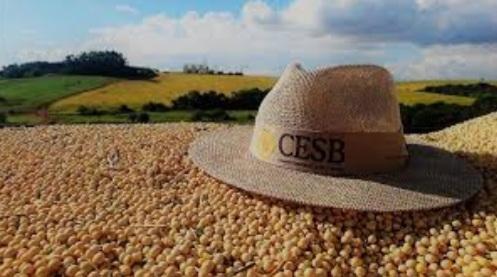 CESB registra recorde de inscrições no Desafio Nacional de Máxima Produtividade de Soja