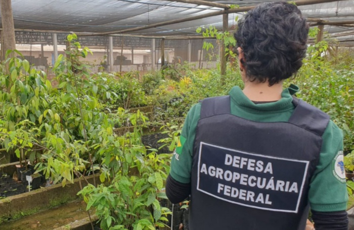 Operação combate trânsito irregular de sementes e mudas em SP