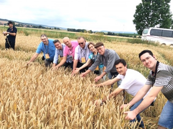 Triticultores brasileiros visitam produção alemã por intermédio da Bayer CropScience