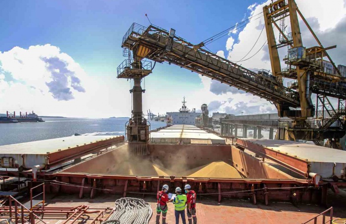 Exportações de soja ganham ritmo em março, aponta Anec