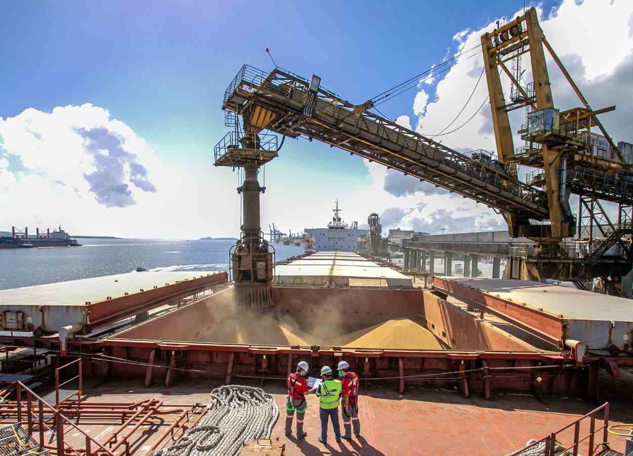 Exportações de soja ganham ritmo em março, aponta Anec