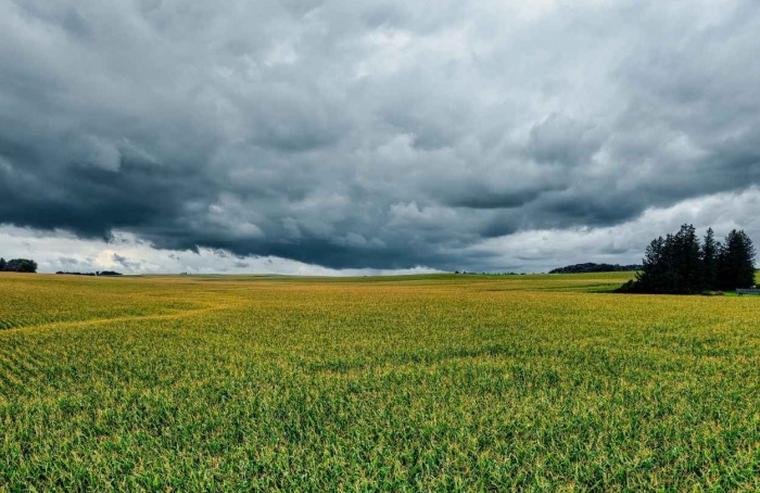 Julho terá chuva irregular e calor acima da média no Brasil