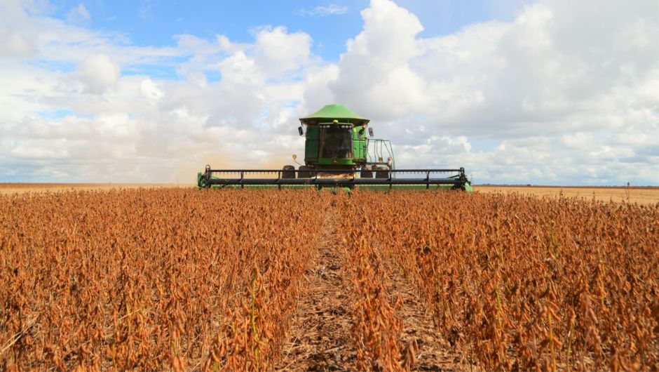 Foto:&nbsp;Dhiony Costa e Silva