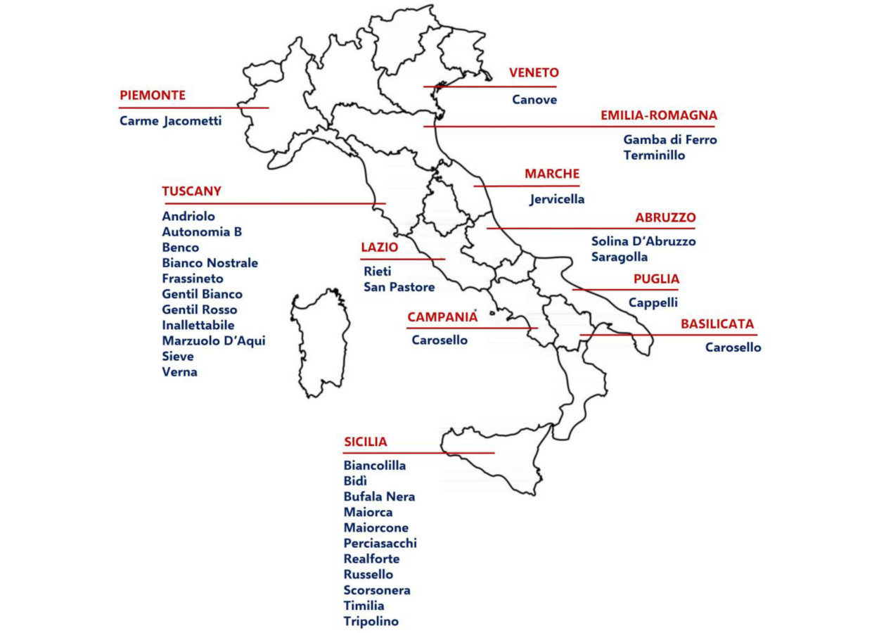 Fonte:&nbsp;doi.org/10.3390/agriculture15222375