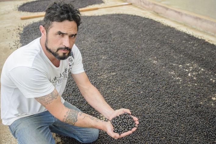 Região das Matas de Minas tem os melhores cafés do Estado