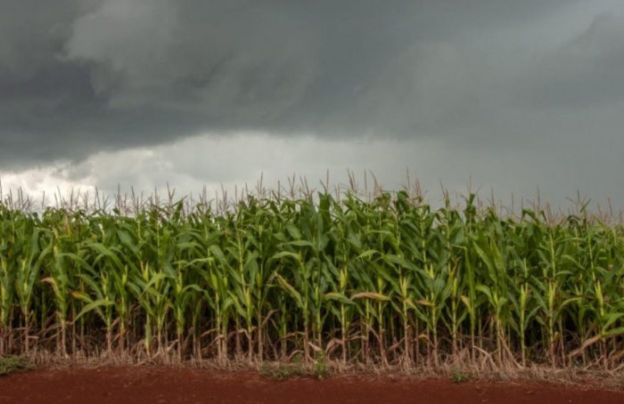 Próxima semana deve ser de nebulosidade e instabilidade no RS