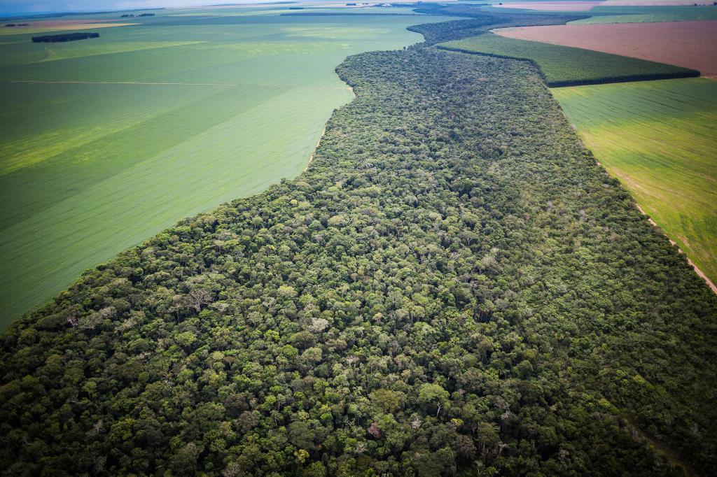 SLC Agrícola investe em ações de sustentabilidade alinhadas com agenda global