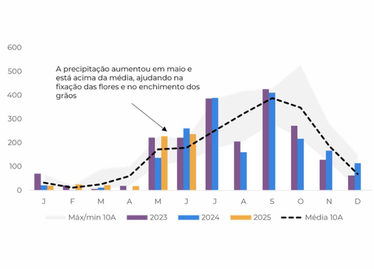 Produção de café do Vietnã deve subir 8,3% na safra 25/26