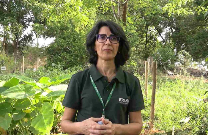 Evento incentiva a produção de PANC em Minas Gerais