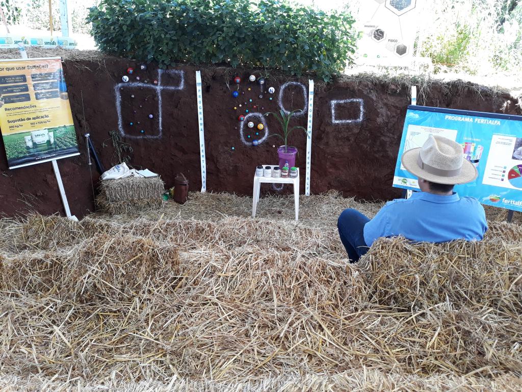 Entenda por que a saúde do solo é considerada a próxima revolução na agricultura