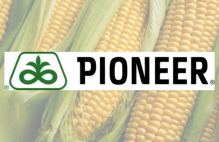 USDA abre consulta pública sobre milho transgênico DP51291