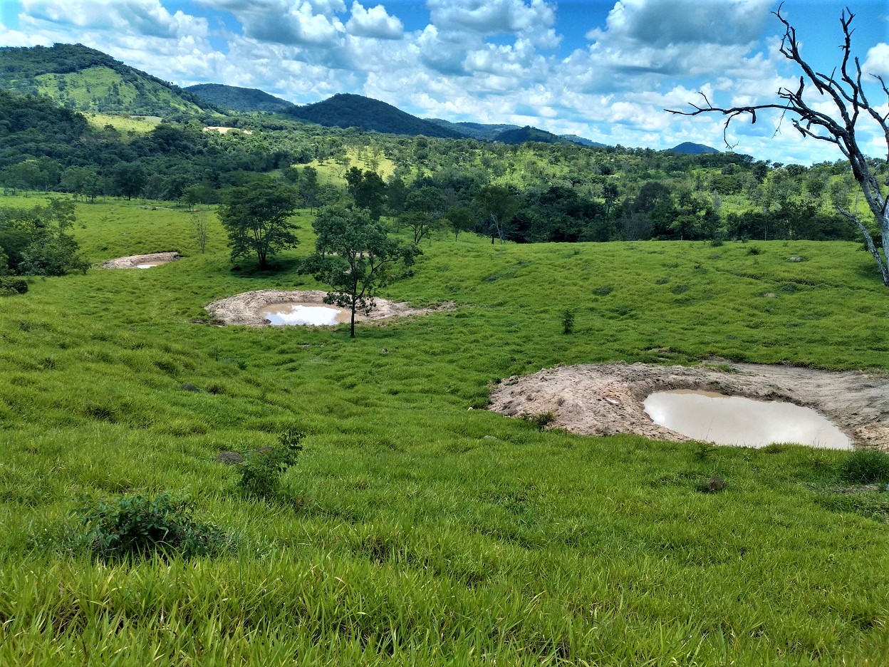 Trabalho de recuperação de nascentes beneficia comunidade rural do Centro-Oeste de Minas