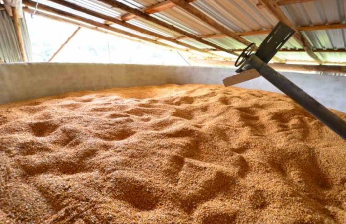 Santa Catarina enfrenta déficit de armazenagem de grãos