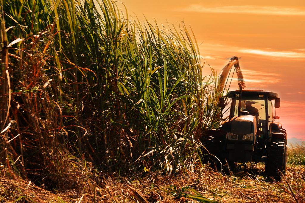 Especial Agrishow: ​ZF lança eixo da família TSA com nova tecnologia embarcada na Agrishow 2017