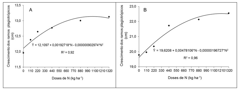 Figura 1. Estimativa do crescimento acumulado dos ramos plagiotrópicos do cafeeiro conilon, em função das doses de N (kg ha-1), nas épocas de avaliação Nov./2012 (A) e Dez./2012 (B)