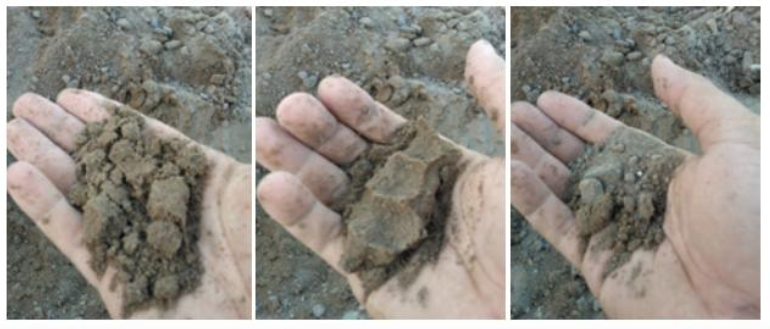 Com o solo na palma da mão é possível identificar sua consistência.