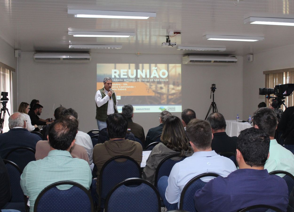 Chuvas comprometem safra e qualidade do trigo em SP